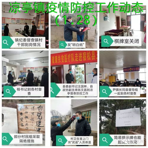 涼亭鎮疫情防控 一張拼圖，一方平安——記涼亭鎮疫情防控工作動態網頁設計